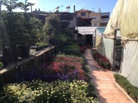 /album/%cf%84%ce%bf-%ce%ba%ce%b1%cf%84%ce%ac%cf%83%cf%84%ce%b7%ce%bc%ce%b1/img-2777-jpg/