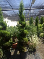 /album/%cf%84%ce%bf-%ce%ba%ce%b1%cf%84%ce%ac%cf%83%cf%84%ce%b7%ce%bc%ce%b1/img-3115-jpg/