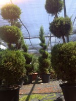 /album/%cf%84%ce%bf-%ce%ba%ce%b1%cf%84%ce%ac%cf%83%cf%84%ce%b7%ce%bc%ce%b1/img-3113-jpg/